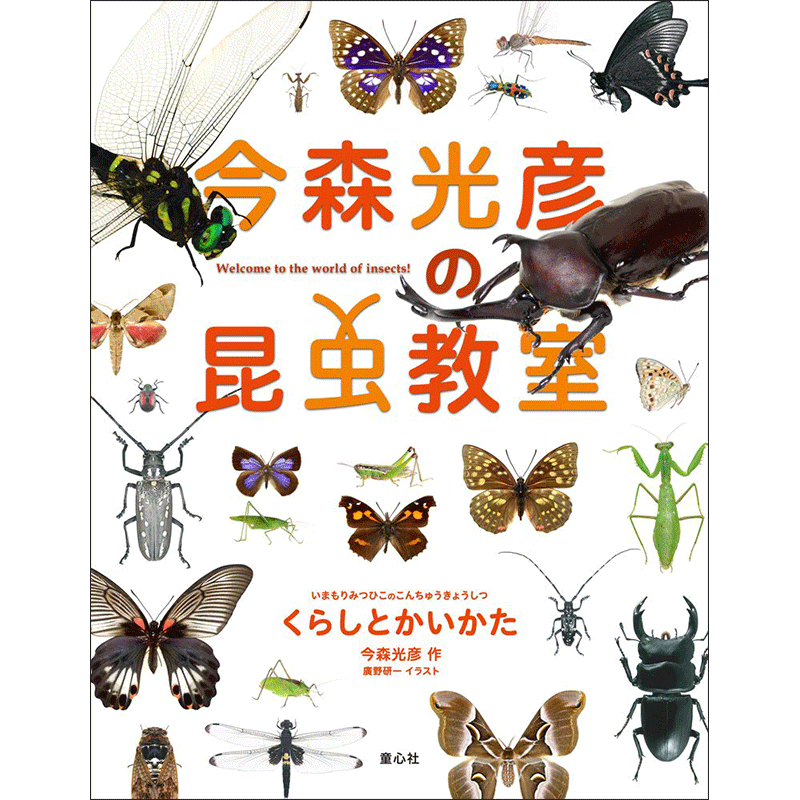 今森光彦の昆虫教室　くらしとかいかた