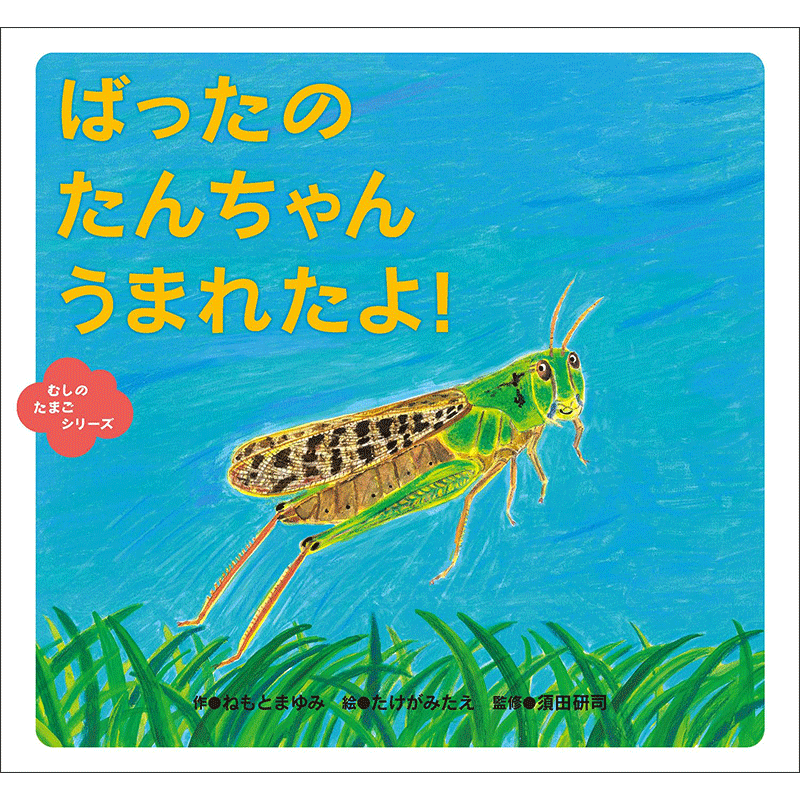 ばったの　たんちゃん　うまれたよ！