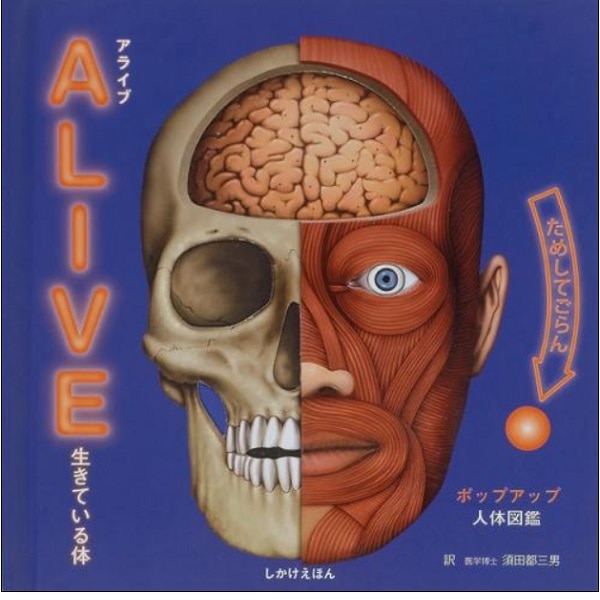 ＡＬＩＶＥ生きている体　ポップアップ人体図鑑
