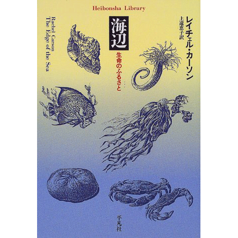 海辺