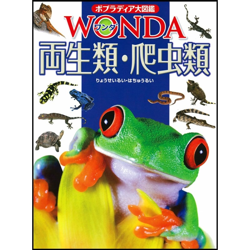 ポプラディア大図鑑WONDA11 両生類・爬虫類