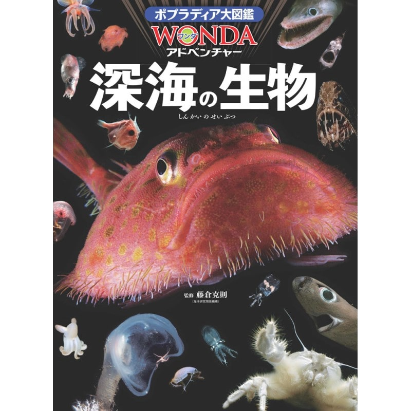 ポプラディア大図鑑WONDAアドベンチャー1 深海の生物
