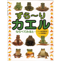 ずらーりカエル　ならべてみると…
