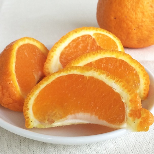 【産地直送】瀬戸内・中原観光農園さんの有機不知火(しらぬい)【2/2締切】