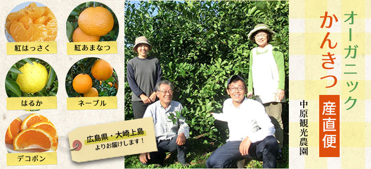 3/18締切!中原観光農園さん産直「有機甘夏」|クレヨンハウス 3月頃発送予定 中原観光農園 オーガニックブラッドオレンジ 約1kg 広島県 大崎上島町 瀬戸内 離島 国産 有機JAS認証 有機栽培 柑橘 果物 フルーツ ギフト 送料無料 産地直送