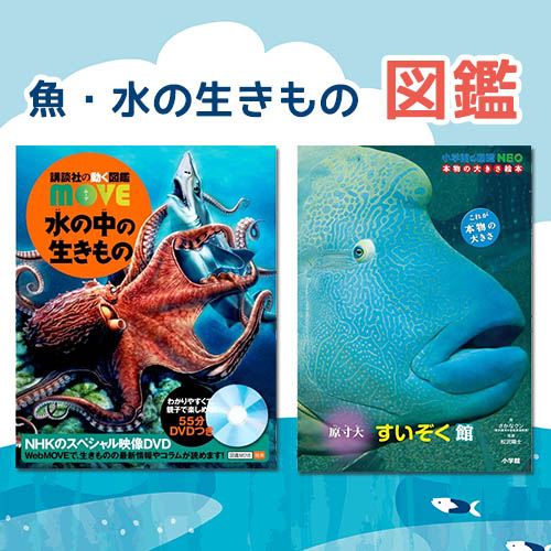 魚・水の生きものの図鑑