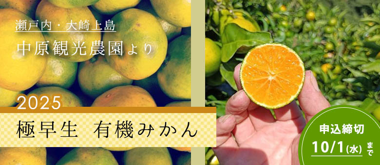 産直・有機みかん極早生
