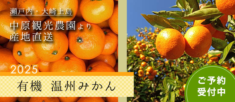 産直・有機レモン