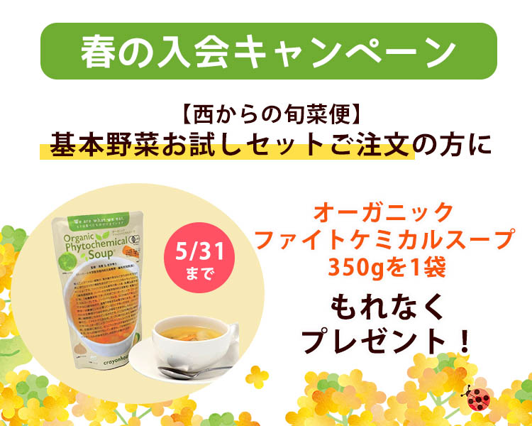 春の入会キャンペーン