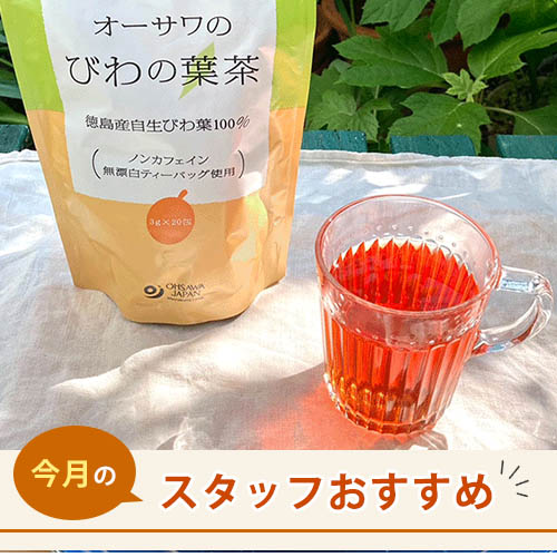 スタッフのおすすめ