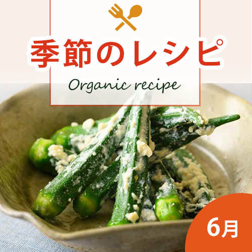 季節のレシピ
