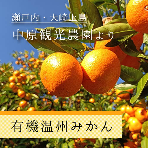 有機温州みかん