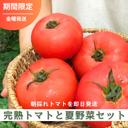 完熟トマトと夏野菜セット