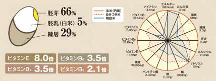テキスト