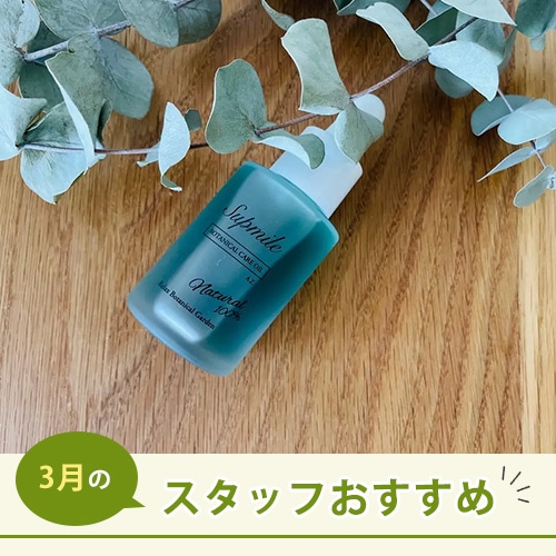 今月のおすすめ