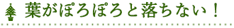 葉がぽろぽろと落ちない