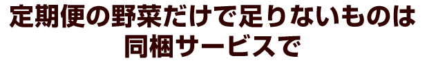 定期便の野菜だけで足りないものは同梱サービスで