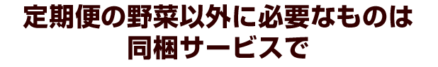 定期便の野菜だけで足りないものは同梱サービスで