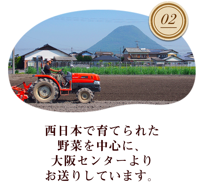 西日本で育てられた野菜を中心に、大阪センターよりお送りしています。