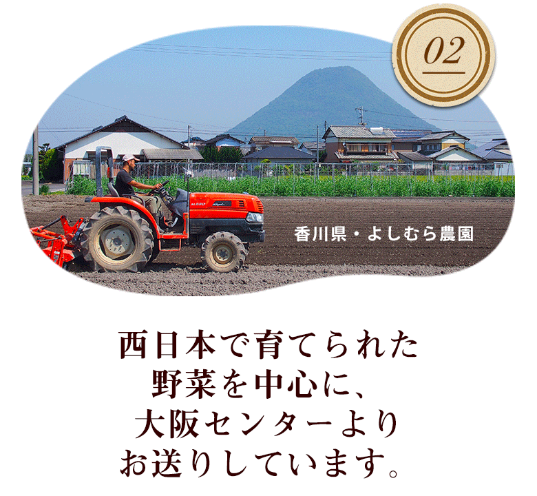 西日本で育てられた野菜を中心に、大阪センターよりお送りしています。