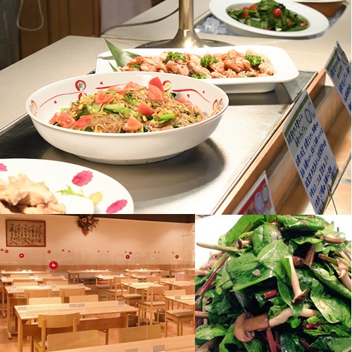 オーガニックレストラン 東京店 B1f クレヨンハウス クレヨンハウス