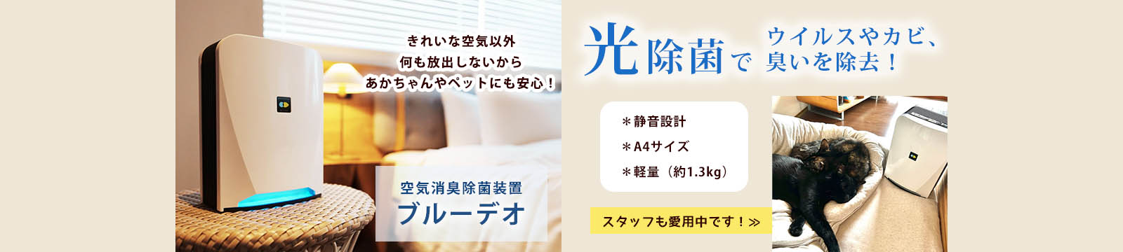 ブルーデオ
