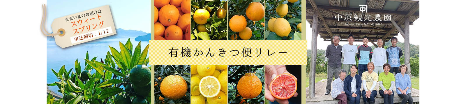 柑橘リレー 1/12までセール