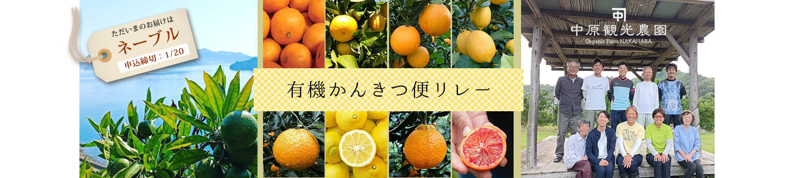 柑橘リレー 1/20まで