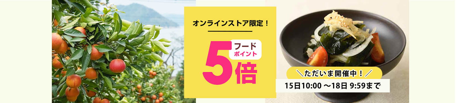 毎月15日はオーガニック食品ポイント5倍デー