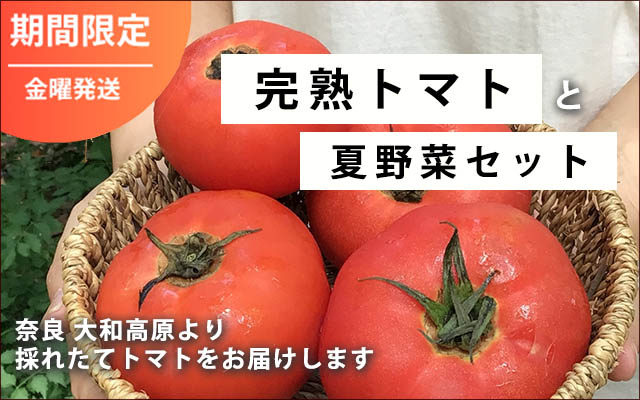 【期間限定】完熟トマトと夏野菜セット