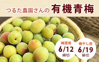 梅しごと