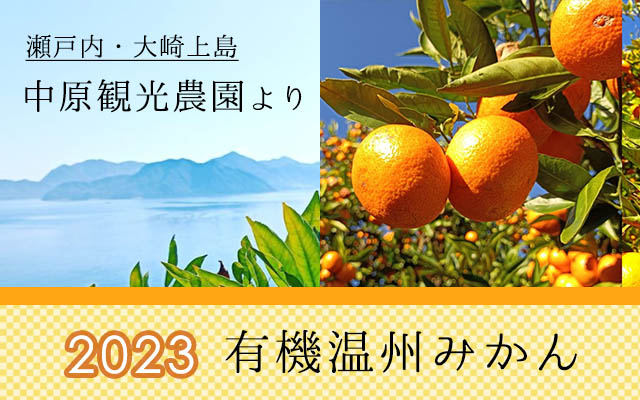 有機温州みかん